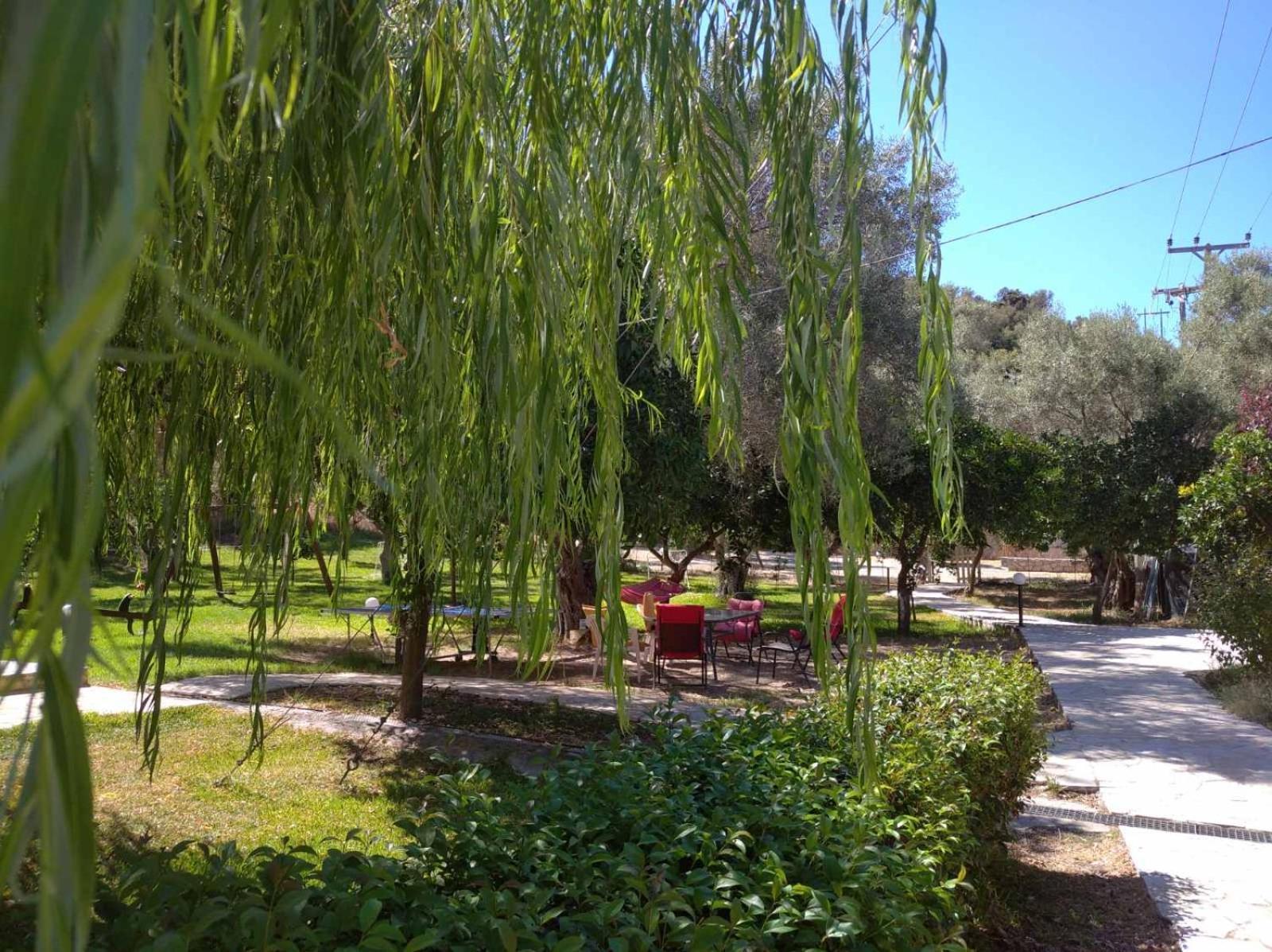 Apartments Avra Kalligoni Εξωτερικό φωτογραφία